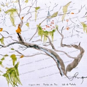 Aquarelle Vale do Matutu par Suzana Dessalien, vallée Minas Gerais lichens branches nature préservée, 24x30cm