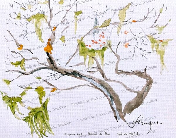 Aquarelle Vale do Matutu par Suzana Dessalien, vallée Minas Gerais lichens branches nature préservée, 24x30cm