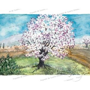 Aquarelle d'amandier en fleurs rose et blanc en Provence par Suzana Dessalien, 20x30cm