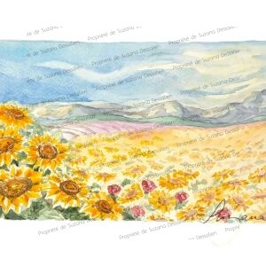 Tournesols - Aquarelle 20x30cm L'été provençal dans toute sa splendeur : une symphonie de jaunes éclatants où dansent mille soleils terrestres sous le ciel azur.