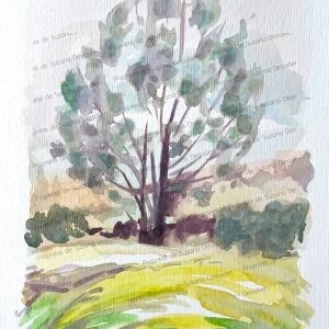 Cet arbre familier, compagnon quotidien du chemin vers la maison, révèle ici toute sa poésie secrète. Ses feuilles argentées captent la lumière comme autant de petits miroirs, créant cette danse scintillante qui transforme chaque passage en moment de grâce. L'aquarelle traduit avec tendresse cette complicité silencieuse entre l'artiste et l'arbre, témoin fidèle des saisons et des jours, gardien lumineux d'un quotidien transformé en beauté par la simple attention du regard.