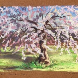 Pastel sec Tamaris en Fleurs par Suzana Dessalien, tamaris fleurs roses nuage tendresse floraison éphémère tons poudrés jardins Midi, 30x40cm