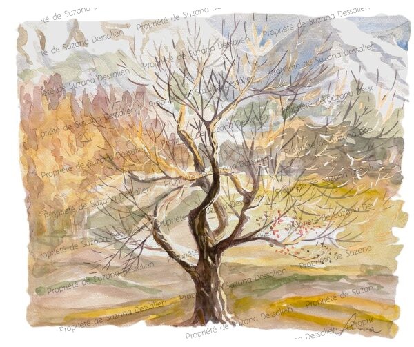 Aquarelle originale paysage montagne 37x45cm, arbre solitaire aux branches nues contre massif rocheux, tons ocres et minéraux par Suzana Dessalien