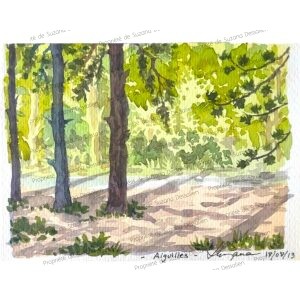 Tableau original et unique - Aquarelle des sous-bois d'Aiguilles, forêt alpine aux jeux de lumière, par Suzana Dessalien