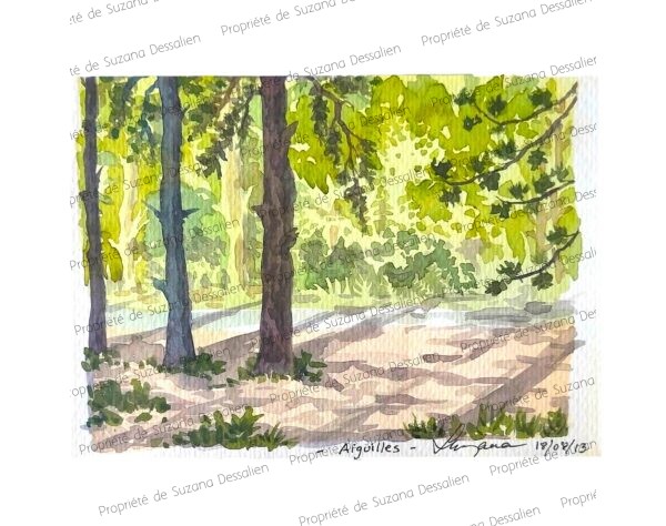 Tableau original et unique - Aquarelle des sous-bois d'Aiguilles, forêt alpine aux jeux de lumière, par Suzana Dessalien